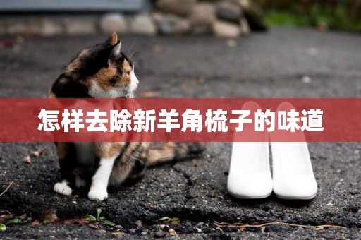 怎樣去除新羊角梳子的味道