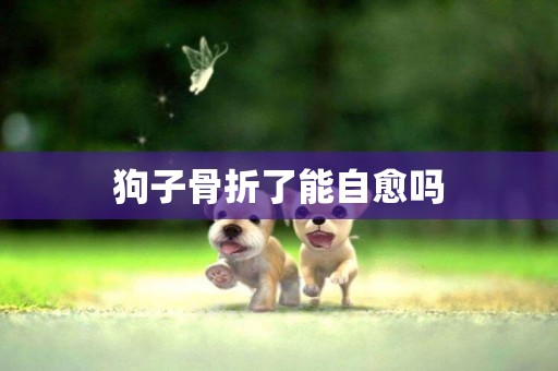 狗子骨折了能自愈嗎