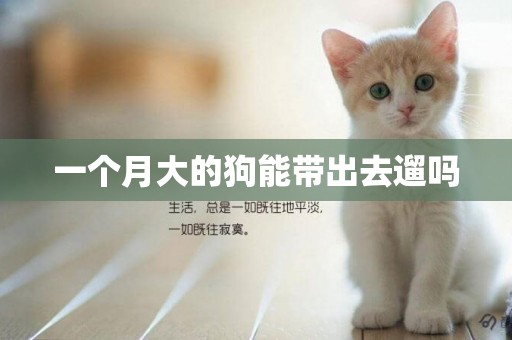 一個月大的狗能帶出去遛嗎