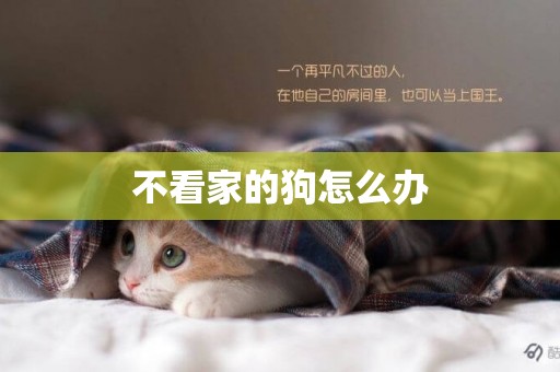 不看家的狗怎么辦