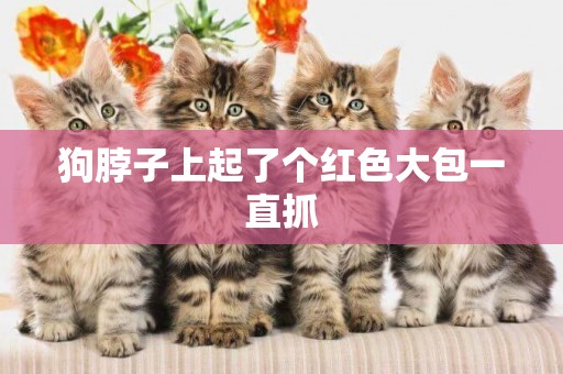 狗脖子上起了個紅色大包一直抓