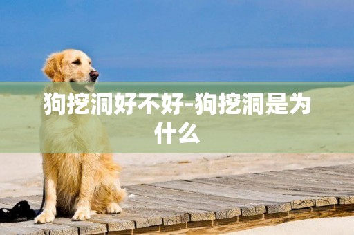 狗挖洞好不好-狗挖洞是為什么