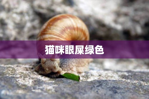 貓咪眼屎綠色