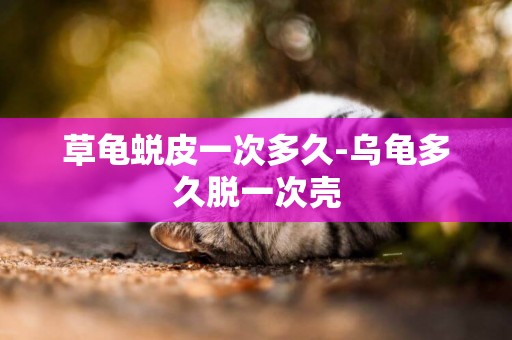 草龜蛻皮一次多久-烏龜多久脫一次殼