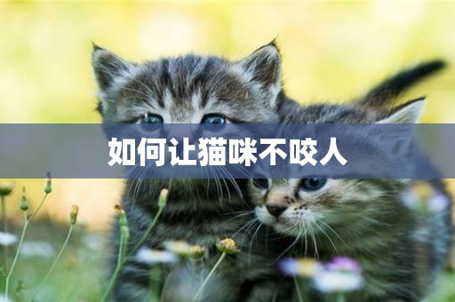 如何讓貓咪不咬人