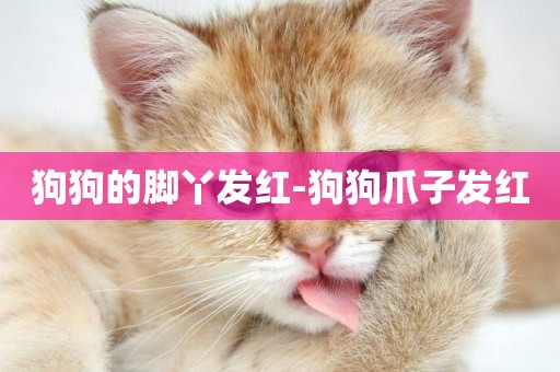 狗狗的腳丫發紅-狗狗爪子發紅