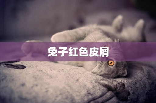 兔子紅色皮屑