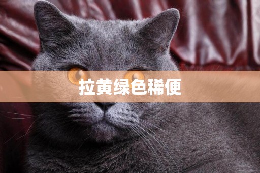 拉黃綠色稀便