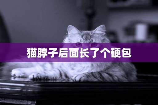 貓脖子后面長了個硬包