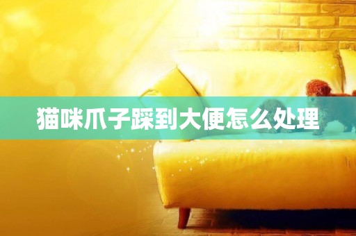 貓咪爪子踩到大便怎么處理