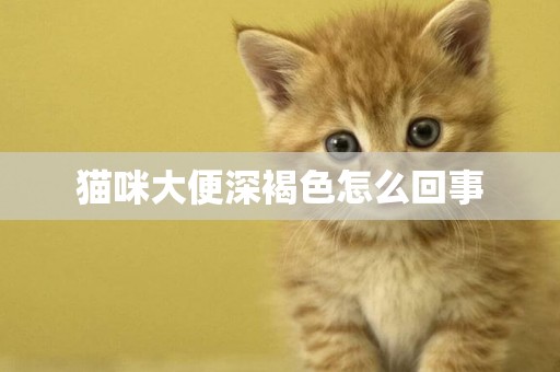 貓咪大便深褐色怎么回事