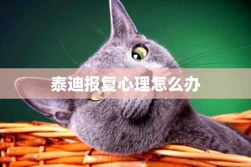泰迪報復心理怎么辦