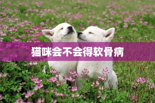貓咪會不會得軟骨病