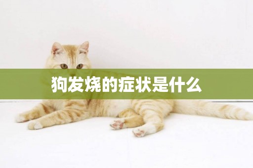 狗發燒的癥狀是什么