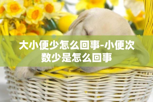大小便少怎么回事-小便次數少是怎么回事