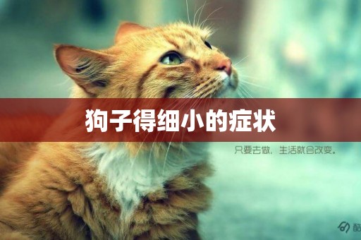 狗子得細小的癥狀