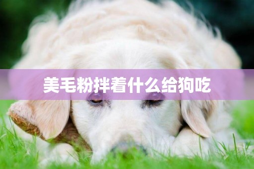 美毛粉拌著什么給狗吃