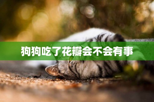 狗狗吃了花瓣會不會有事