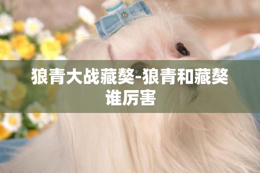 狼青大戰藏獒-狼青和藏獒誰厲害