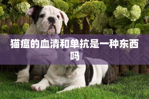 貓瘟的血清和單抗是一種東西嗎