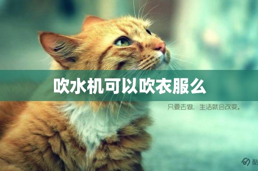 吹水機可以吹衣服么