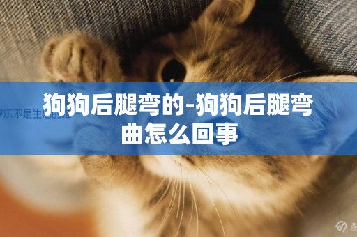 狗狗后腿彎的-狗狗后腿彎曲怎么回事