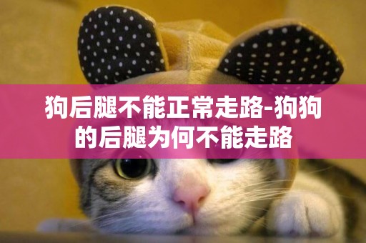 狗后腿不能正常走路-狗狗的后腿為何不能走路