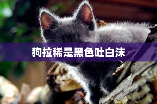 狗拉稀是黑色吐白沫