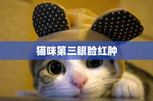 貓咪第三眼瞼紅腫