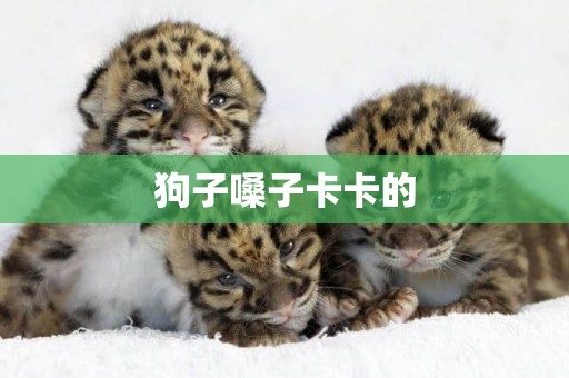 狗子嗓子卡卡的