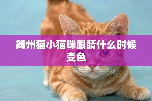簡州貓小貓咪眼睛什么時候變色