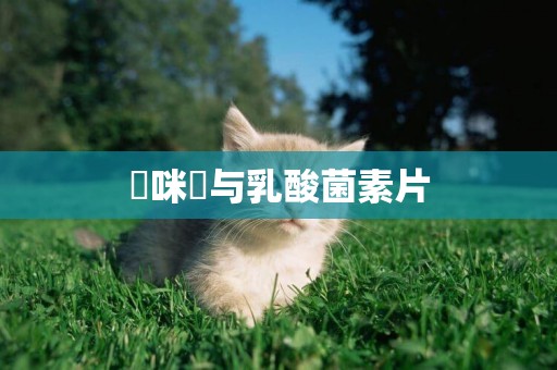 媽咪愛與乳酸菌素片