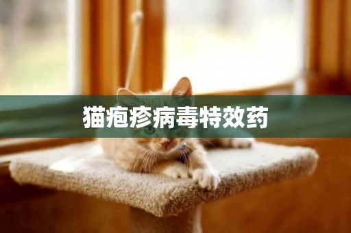 貓皰疹病毒特效藥