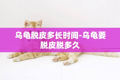 烏龜脫皮多長時間-烏龜要脫皮脫多久