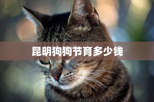 昆明狗狗節育多少錢