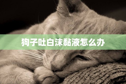 狗子吐白沫黏液怎么辦