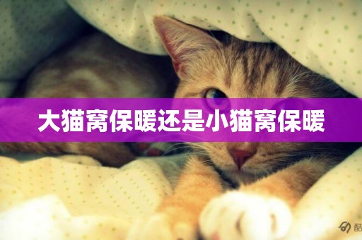 大貓窩保暖還是小貓窩保暖
