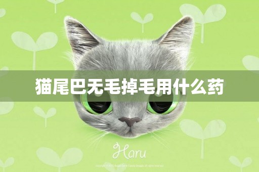 貓尾巴無毛掉毛用什么藥