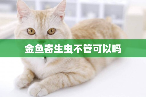 金魚寄生蟲不管可以嗎