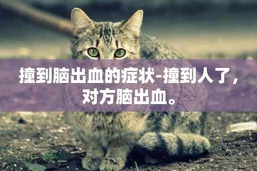 撞到腦出血的癥狀-撞到人了，對方腦出血。