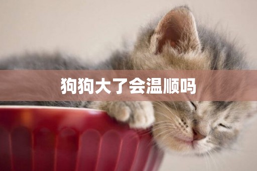 狗狗大了會溫順嗎