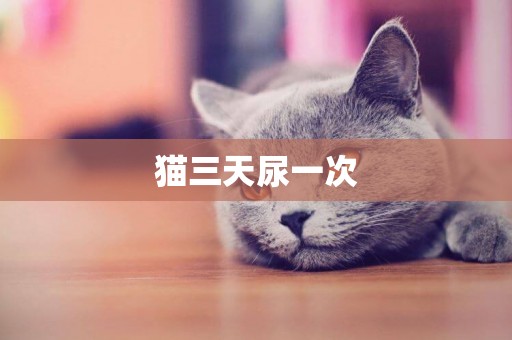 貓三天尿一次