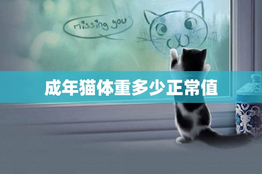成年貓體重多少正常值
