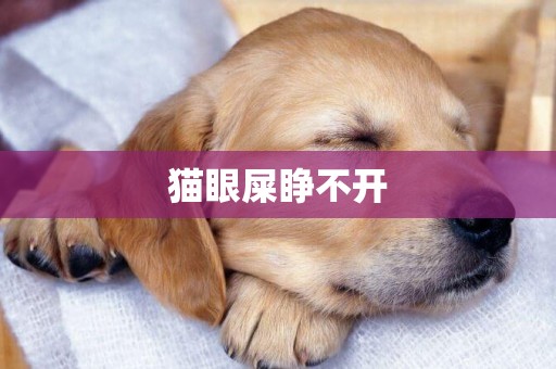 貓眼屎睜不開