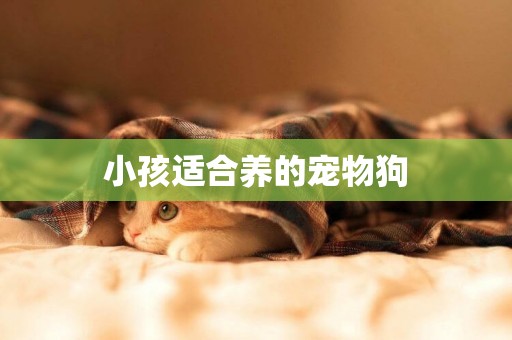 小孩適合養的寵物狗