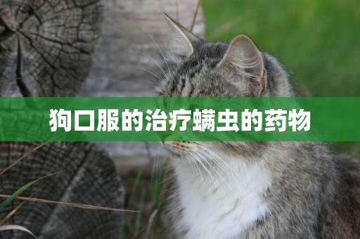 狗口服的治療螨蟲的藥物