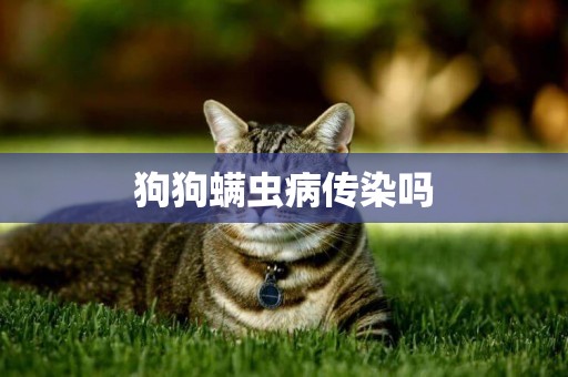 狗狗螨蟲病傳染嗎