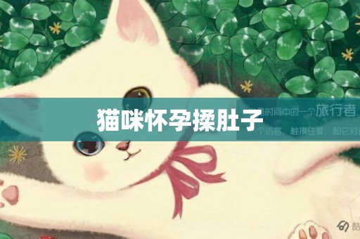貓咪懷孕揉肚子