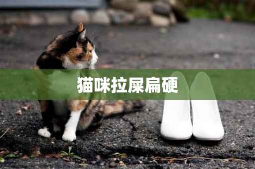 貓咪拉屎扁硬