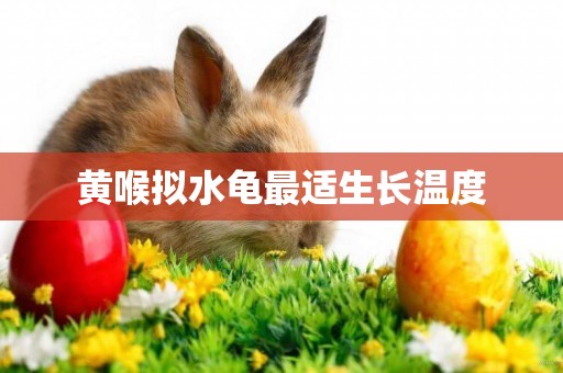 黃喉擬水龜最適生長溫度
